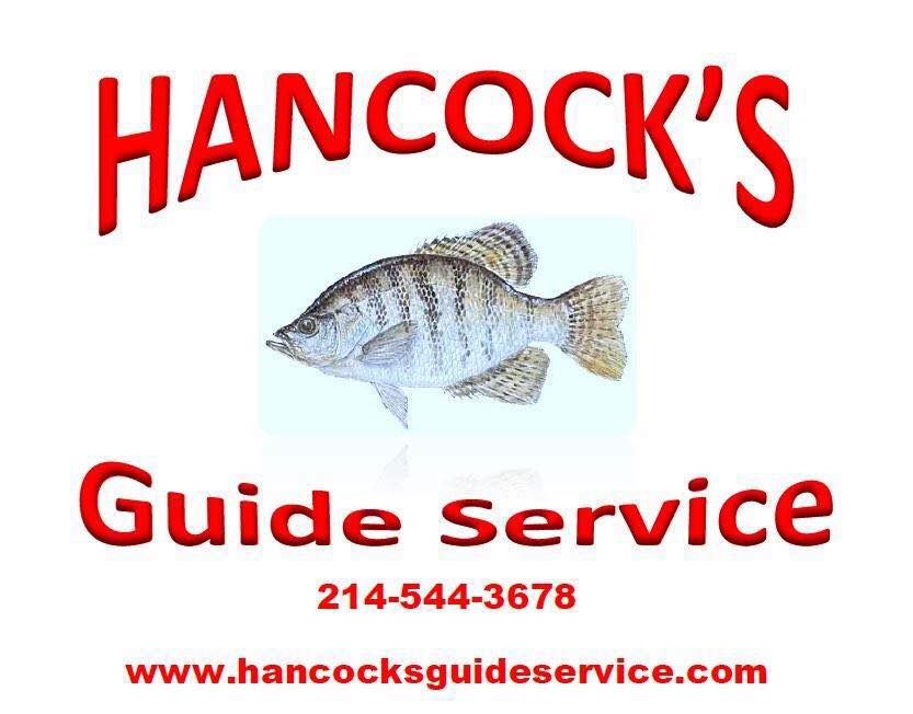 A fish is shown on the front of a logo.